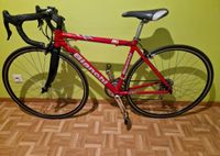 Rennrad Bianchi 28 Zoll in Originale Zustand wie Neu Wandsbek - Hamburg Bramfeld Vorschau