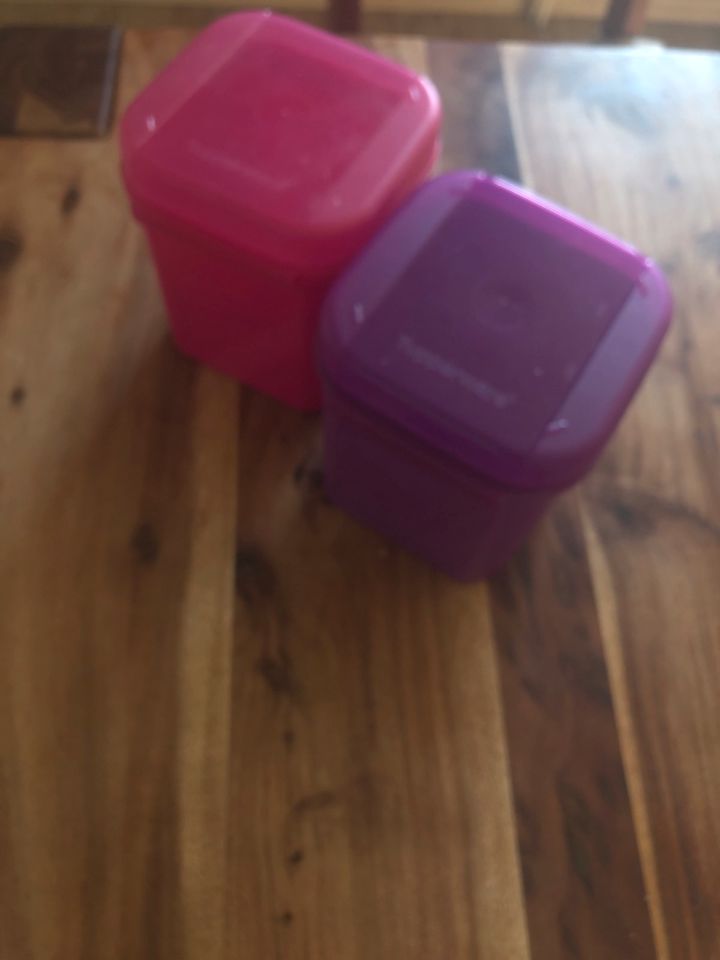 Tupperware Bellevue Dose 1200 ml Pink und lila mit Klapp- Deckel in Emden