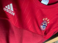 Fc Bayern Pulli und Stutzen Bayern - Runding Vorschau