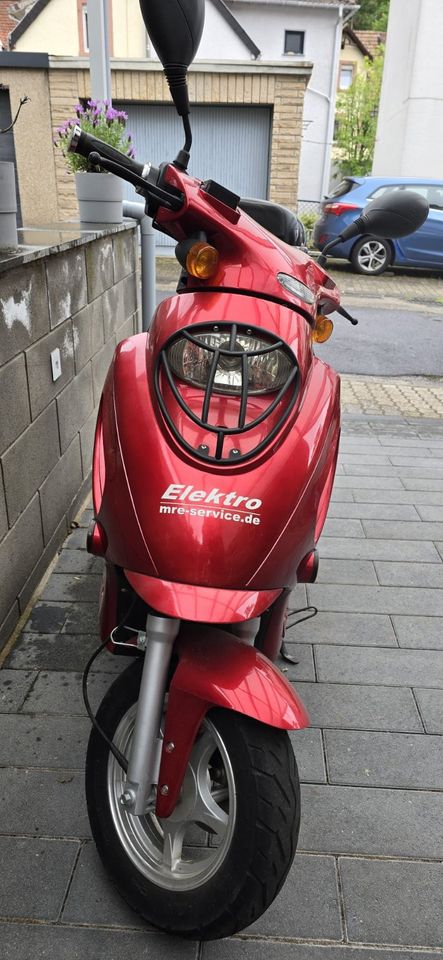 Motorroller elektrisch in Lambrecht (Pfalz)