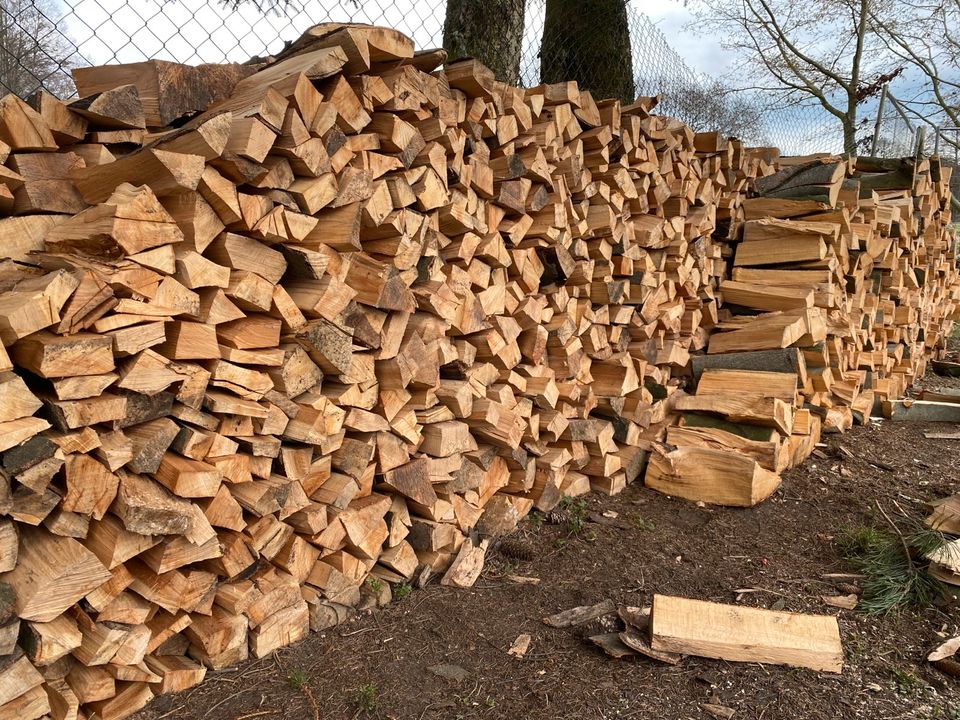 Buche 33cm geschnitten Kaminholz in Neuhausen/Spree