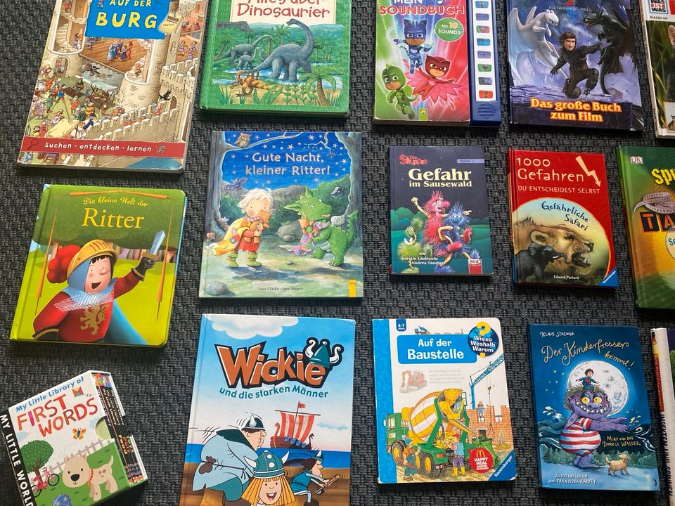 Kinderbücher Paket Set Dinos Wickie ritter Katzen Soundbuch pj in Mechernich