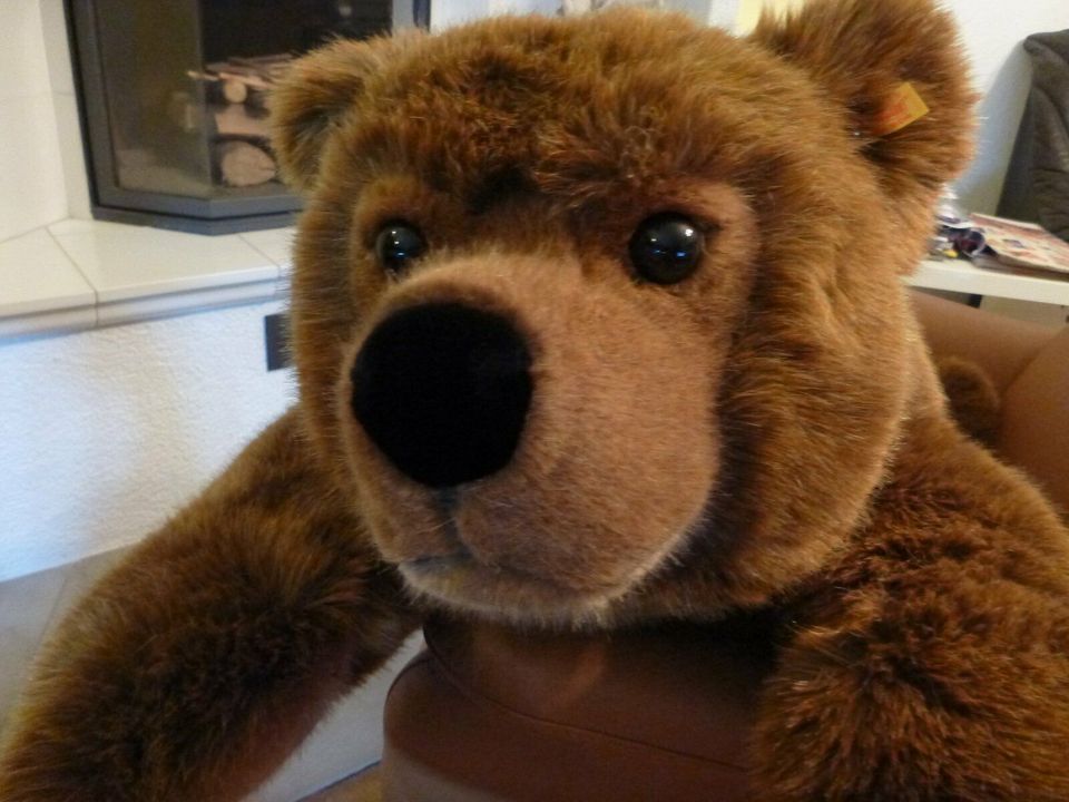 Steiff Teddy Riesig XL 90 cm lang unbespielt in Thüringen - Vacha | Kunst  und Antiquitäten gebraucht kaufen | eBay Kleinanzeigen ist jetzt  Kleinanzeigen