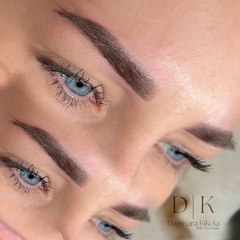 Powderbrows Ombre Microblading PMU Bremerhaven in Bremen