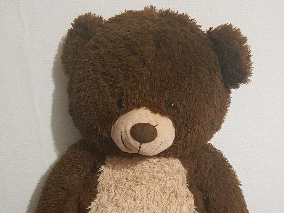 Teddybär 120cm in Saarbrücken