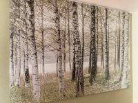 Leinwandbild Birken „Björksta“ 140x200 cm skandi Nordrhein-Westfalen - Remscheid Vorschau