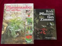 Pflanzenzauber rund ums Haus + Pflanzen für's Zimmer Ratgeber Parchim - Landkreis - Lübz Vorschau