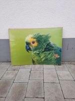 Tolles Poster Papagei neu in Folie 70 x 50 cm München - Sendling-Westpark Vorschau