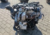 VW Audi Seat Skoda 1,6 TDI CRK Motor Triebwerk Engine Nordrhein-Westfalen - Dorsten Vorschau