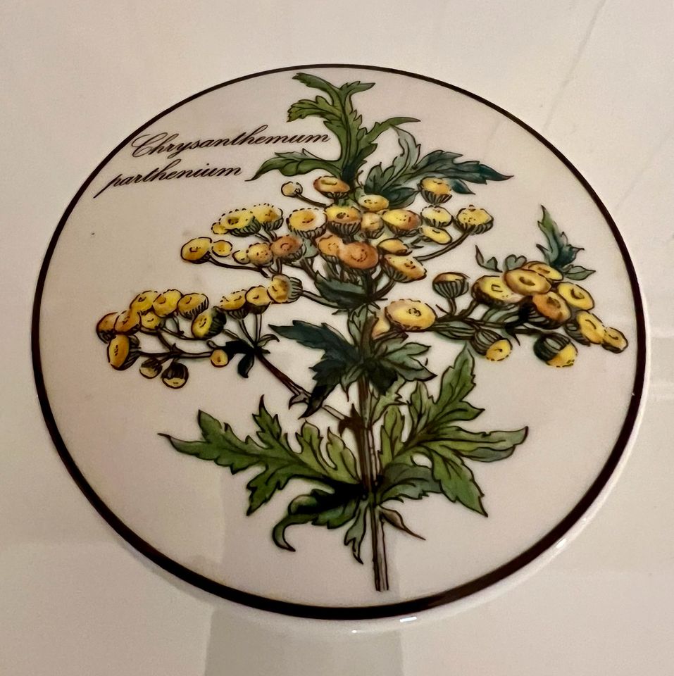 SALE - Villeroy&Boch - zwei Dosen aus der Botanica Serie in Calden