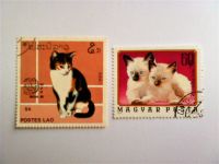 Briefmarken Katzen Sachsen - Hohndorf Vorschau