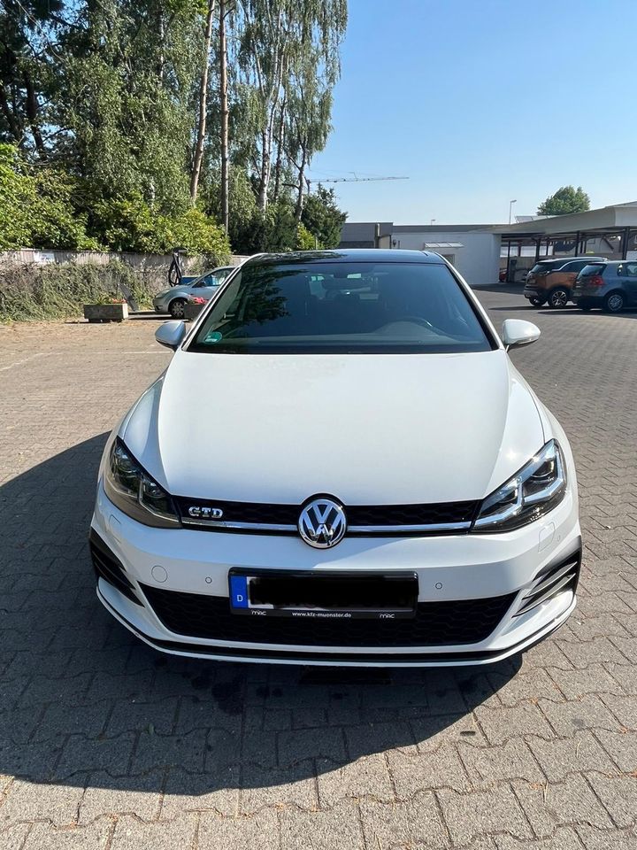 Golf 7 GTD 2.0 DCC TÜV neu Panorama Garantie 1 Jahr Virt. Cockpit in Bad Bentheim