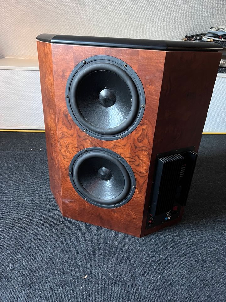 Lautsprecher Audio Physic RHEA 230V in Zweibrücken