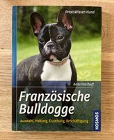 Französische Bulldogge Brandenburg - Falkensee Vorschau