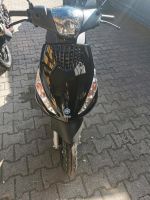 Piaggio Zip 50 neu Bayern - Sinzing Vorschau