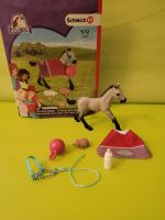 Schleich Horse Club 42534 Spielspaß mit Fohlen Kreis Ostholstein - Stockelsdorf Vorschau