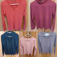 Bluse gr 38 5 Stück 8 Euro Saarland - Homburg Vorschau