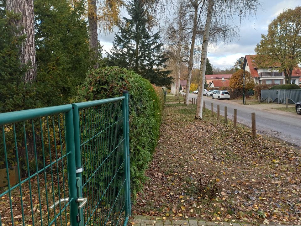 Wohnen im Grünen– nur 500 m Fußweg bis zum Bötzsee in Eggersdorf in Eggersdorf