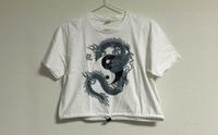 Weißes Tshirt, Shirt mit Drachen Aufdruck Größe S Harburg - Hamburg Heimfeld Vorschau