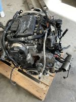 Motor Engine 2,2 D 224DT Land Range Rover Komplett 45.000km Bielefeld - Senne Vorschau