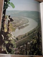 VOM WEINFREUND ZUM WEINKENNER - Hans Ambrosi - 1980 (2005-108) Rheinland-Pfalz - Piesport Vorschau