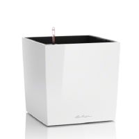 Lechuza Cube Premium 30 weiß hochglanz - 1. Wahl Sonderpreis Bayern - Schwaig Vorschau