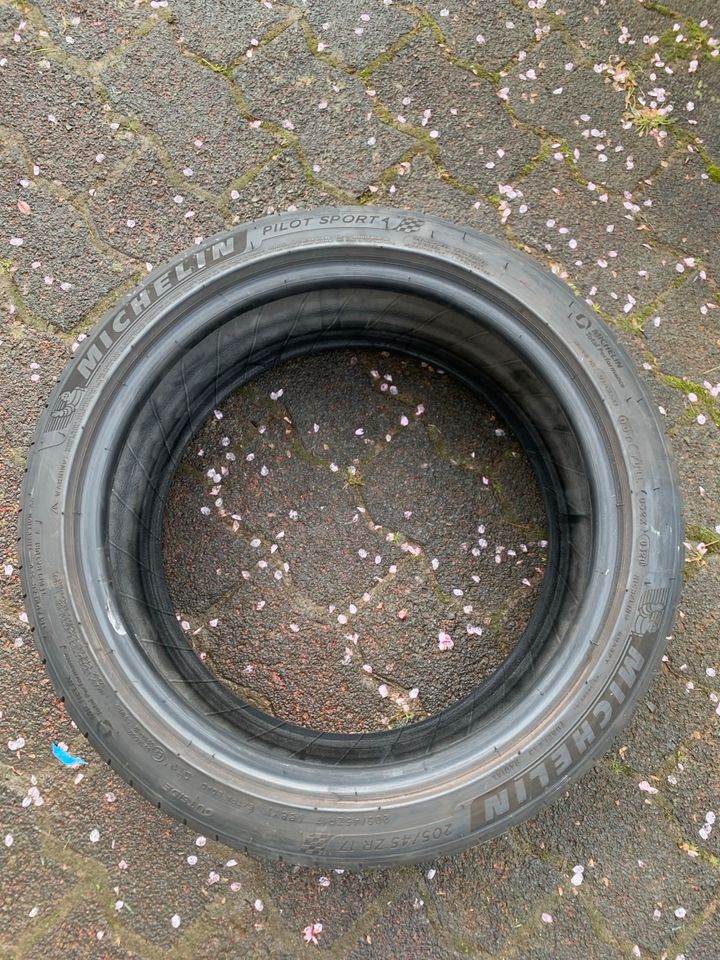 205/45 ZR 17 Michelin  Pilot Sport 4,Sommerreifen in Roth b Hamm