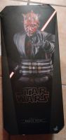 1/6 Hot Toys Clone wars Darth Maul Nordrhein-Westfalen - Jüchen Vorschau