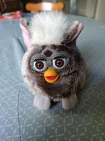 Furby Vintage Brandenburg - Falkensee Vorschau