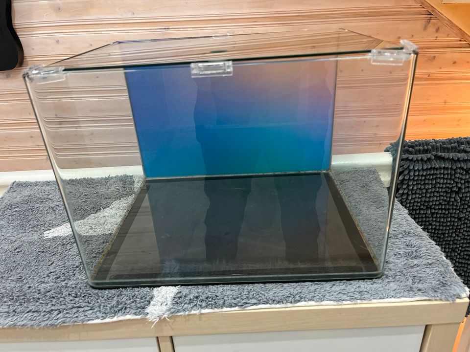 Dennerle 35l Aquarium scraper in Masserberg