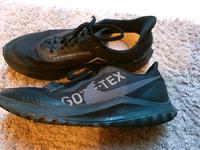 NIKE HERREN LAUFSCHUHE SCHWARZ GR. 43 TOPZUSTAND Bayern - Eppenschlag Vorschau