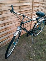 Herren Fahrrad  CK-Bike Rostock - Brinckmansdorf Vorschau