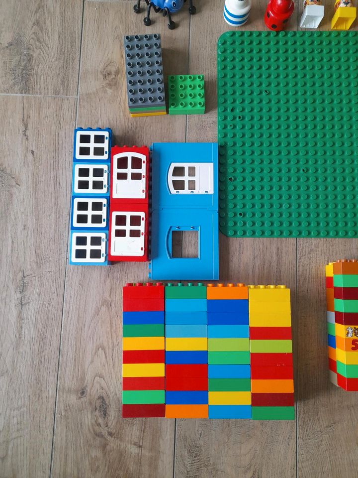 Lego Duplo Sammlung/Steine in Oberfell