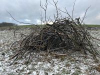 Äste/Anmachholz Bad Salzungen - Frauensee Vorschau