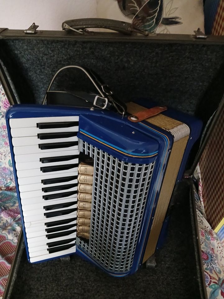 akordion mit koffer in Pulheim