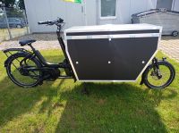 URBAN ARROW Cargoline E- Pedelec Lastenrad mit Transportbox Nordrhein-Westfalen - Dorsten Vorschau