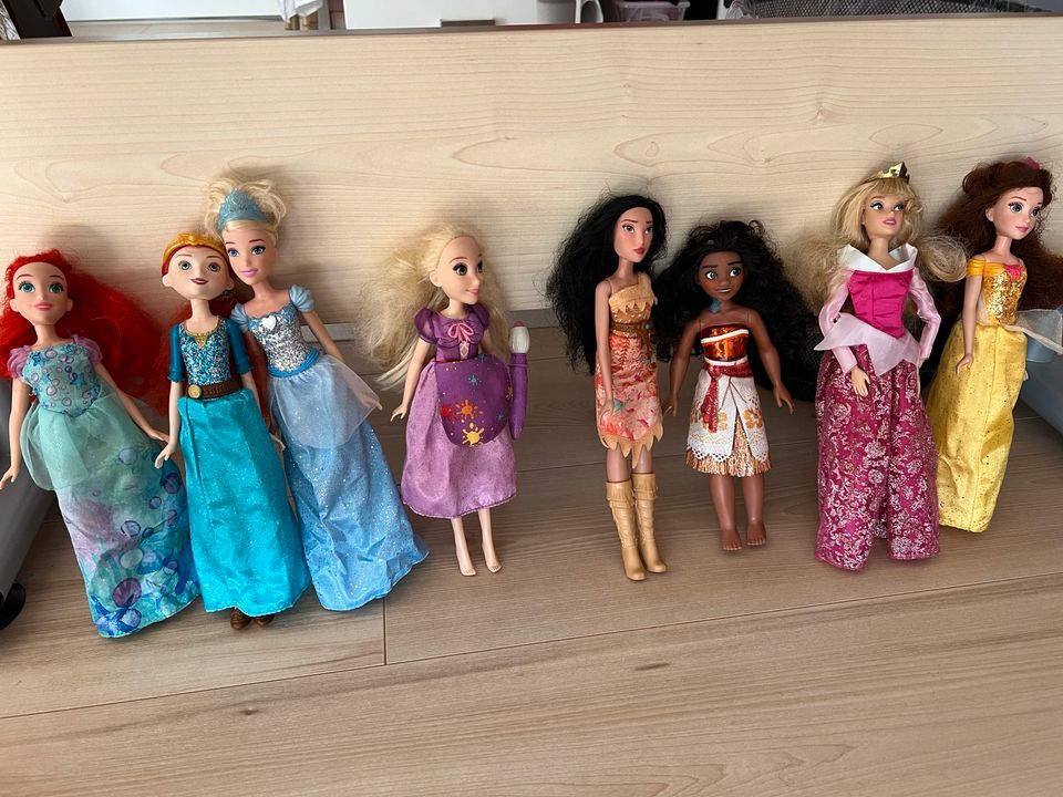 Barbie Puppen von Hasbro & Disney (Mérida, Belle, Pocahontas in Neuhaus-Schierschnitz