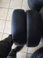 155/65R/14 75T Fulda Multi Control Allweterreifen Bayern - Aschaffenburg Vorschau