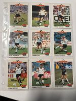 Action cards Nationalspieler komplett set 1-240 Ludwigslust - Landkreis - Eldena Vorschau