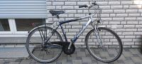 Fahrrad 28 Zoll Pegasus Nordrhein-Westfalen - Warstein Vorschau