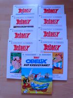 Asterix Bücher Konvolut Sachsen - Jahnsdorf Vorschau