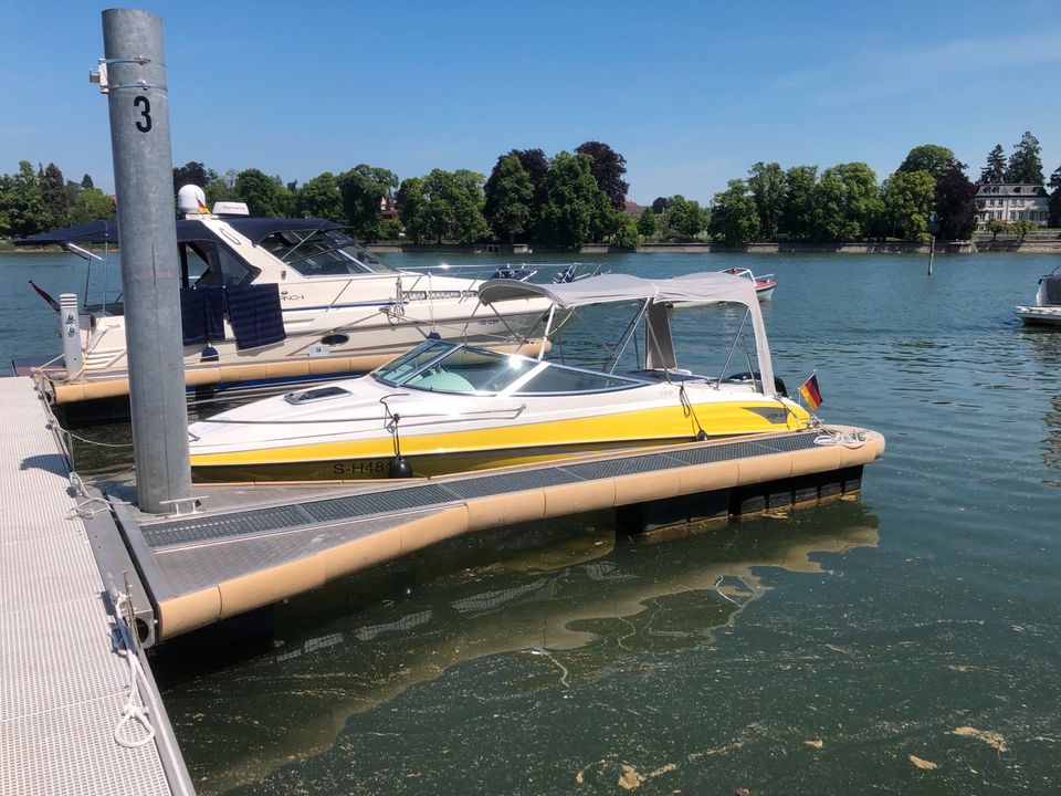 Motorboot Viper V630 Bodenseezulassung inkl. Trailer in Bad Waldsee