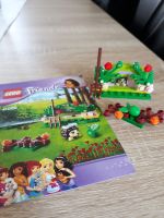 Lego Friends kleine Spielsets Tiere Nordrhein-Westfalen - Freudenberg Vorschau