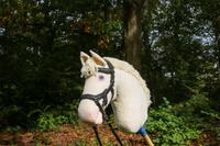 Hobby horse finnisch Baden-Württemberg - Schriesheim Vorschau