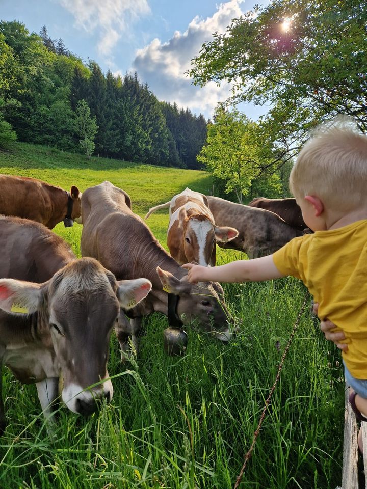 Ferienwohnung für 4 Personen im Allgäu / Frühling / Sommer in Blaichach