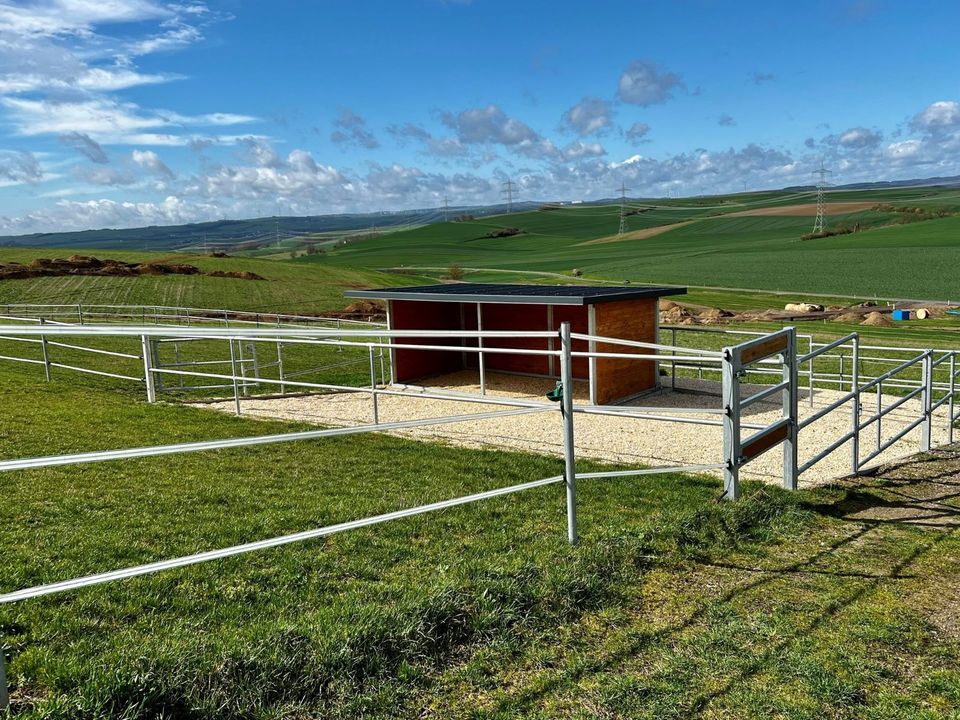 Kleine hochwertige Reitanlage mit exklusiver, energetischer und neuwertiger Luxus-Villa in Lonnig