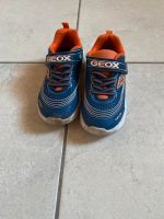 Geox Schuhe 29 Rheinland-Pfalz - Bingen Vorschau