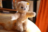 Teddybär von Steiff Niedersachsen - Celle Vorschau