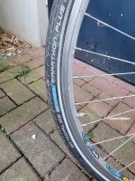 Rennrad 28 Zoll Nordrhein-Westfalen - Gladbeck Vorschau