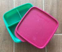 Tupperware Tupper Clevere Pause Brotdose Pausenbox 550 ml Bayern - Miltenberg Vorschau